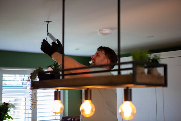 Best Electric Panel Repair  in Irmo, SC